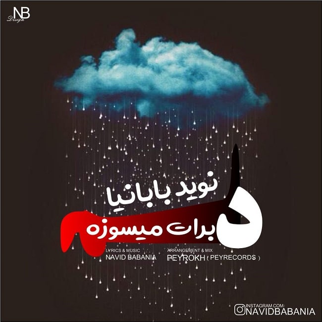 دانلود آهنگ دلم برات میسوزه